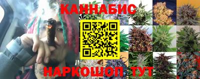 эйфоретик Абакан