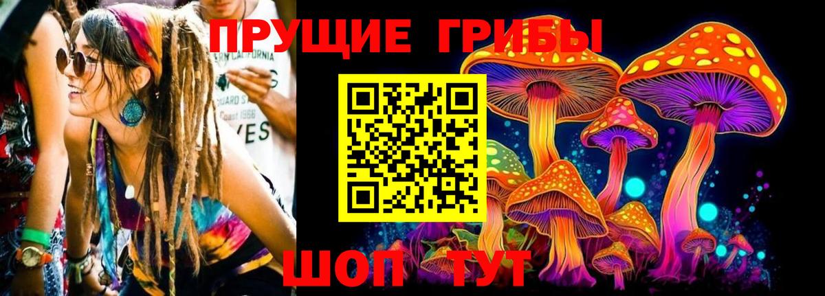 Алексин  Псилоцибиновые грибы мицелий  Вход с VPN 